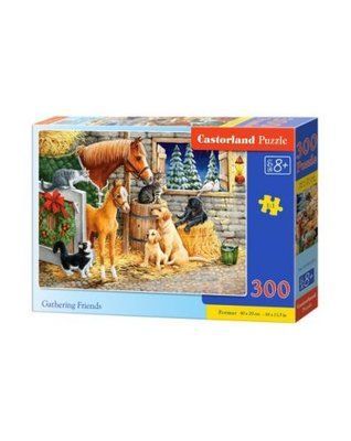Пазли "Зустріч друзів" (300 елементів) Castorland_38224 фото
