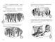 26-поверховий будинок на дереві - Енді Ґріффітс - ArtBooks ArtBooks-360 фото 5