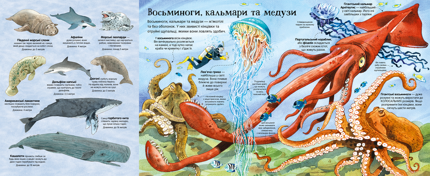 П'ять велетенських енциклопедій - ArtBooks ArtBooks-579 фото